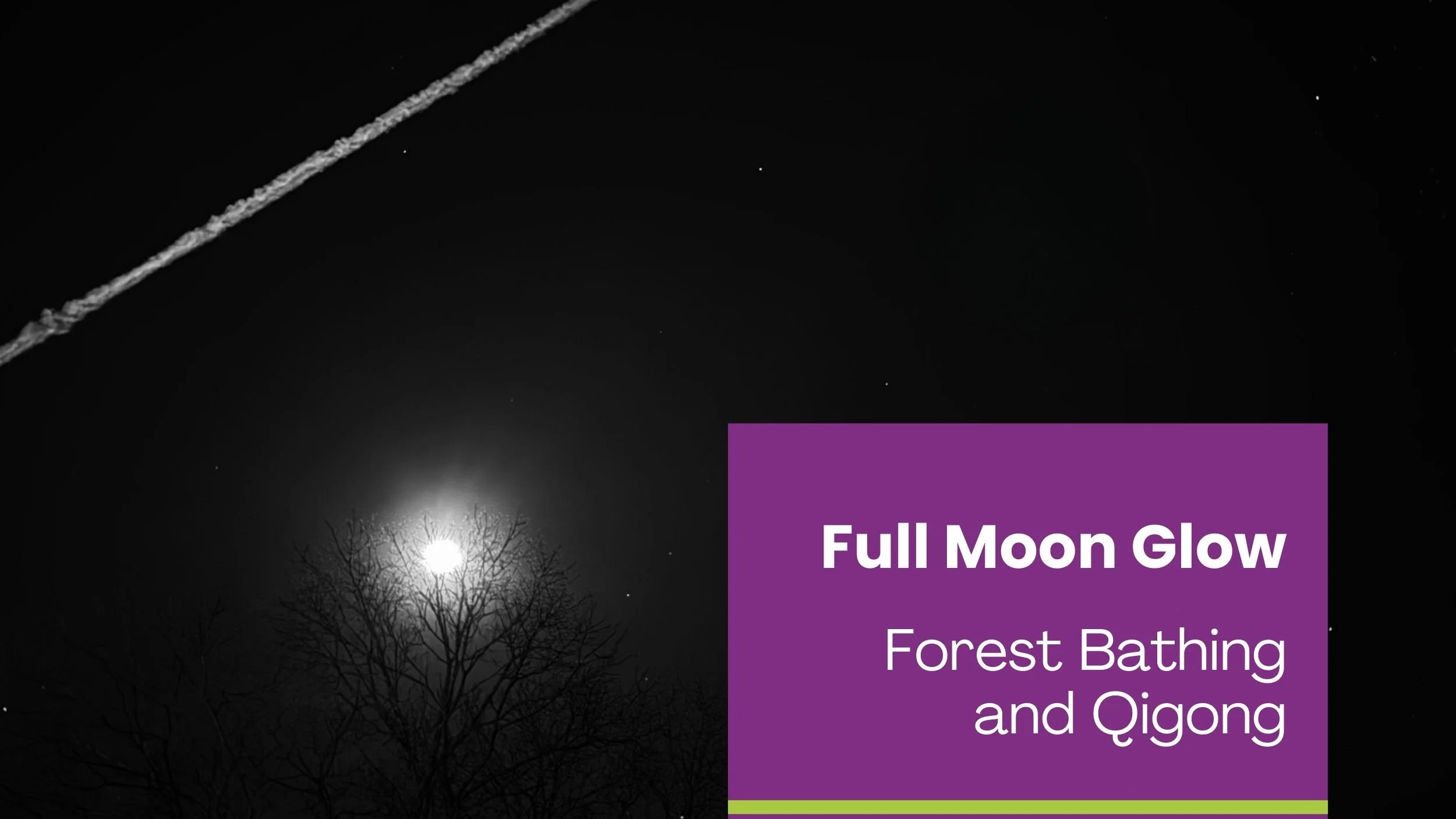 Full Moon Glow: Forest Bathing and Qigong