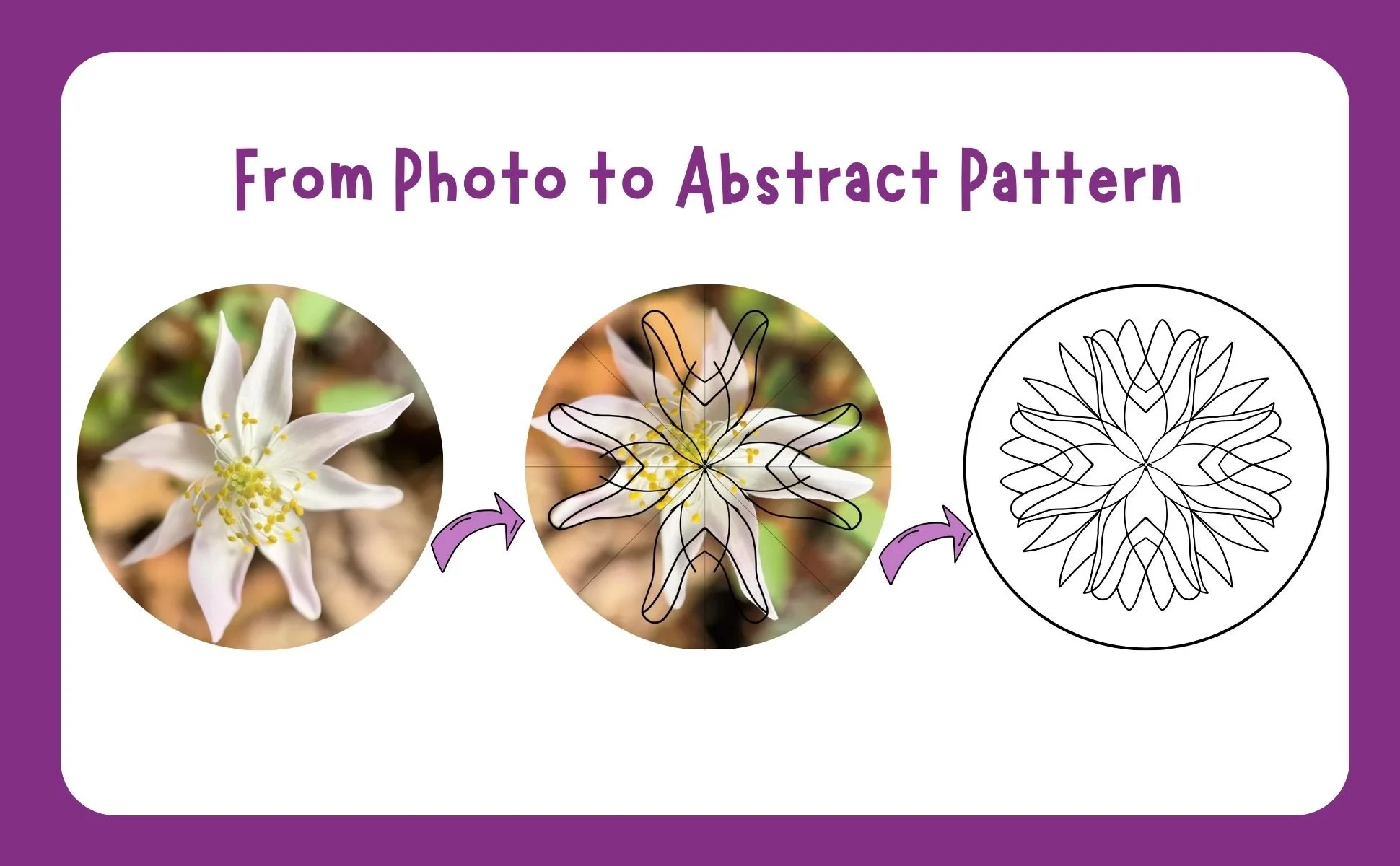 Diagram showing the transformation from a photo of a flower to an abstract pattern. It includes three steps: a realistic flower photo, an outline of the flower superimposed on the photo, and a final black-and-white abstract floral pattern.