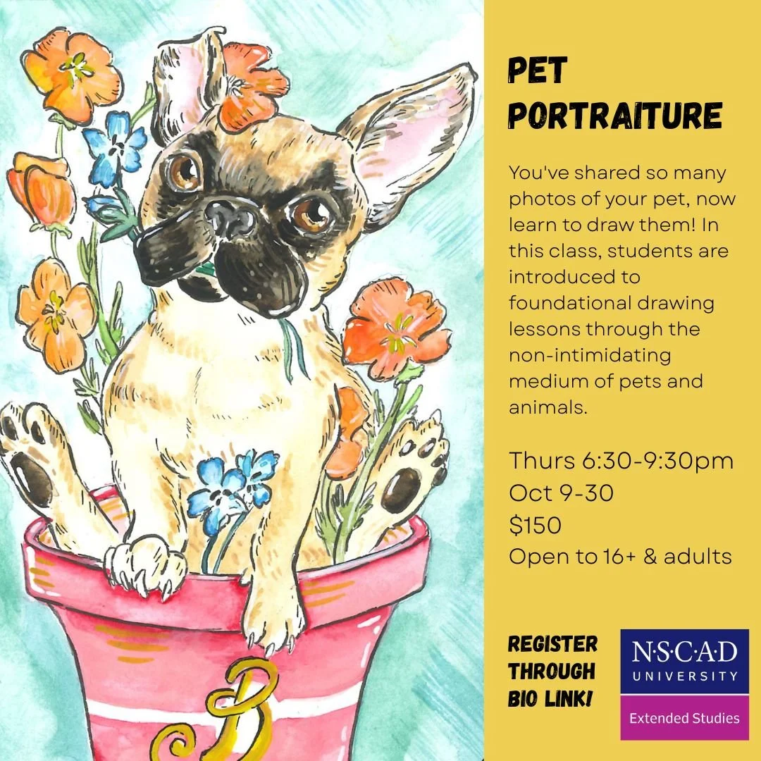 Pet Portraiture classes