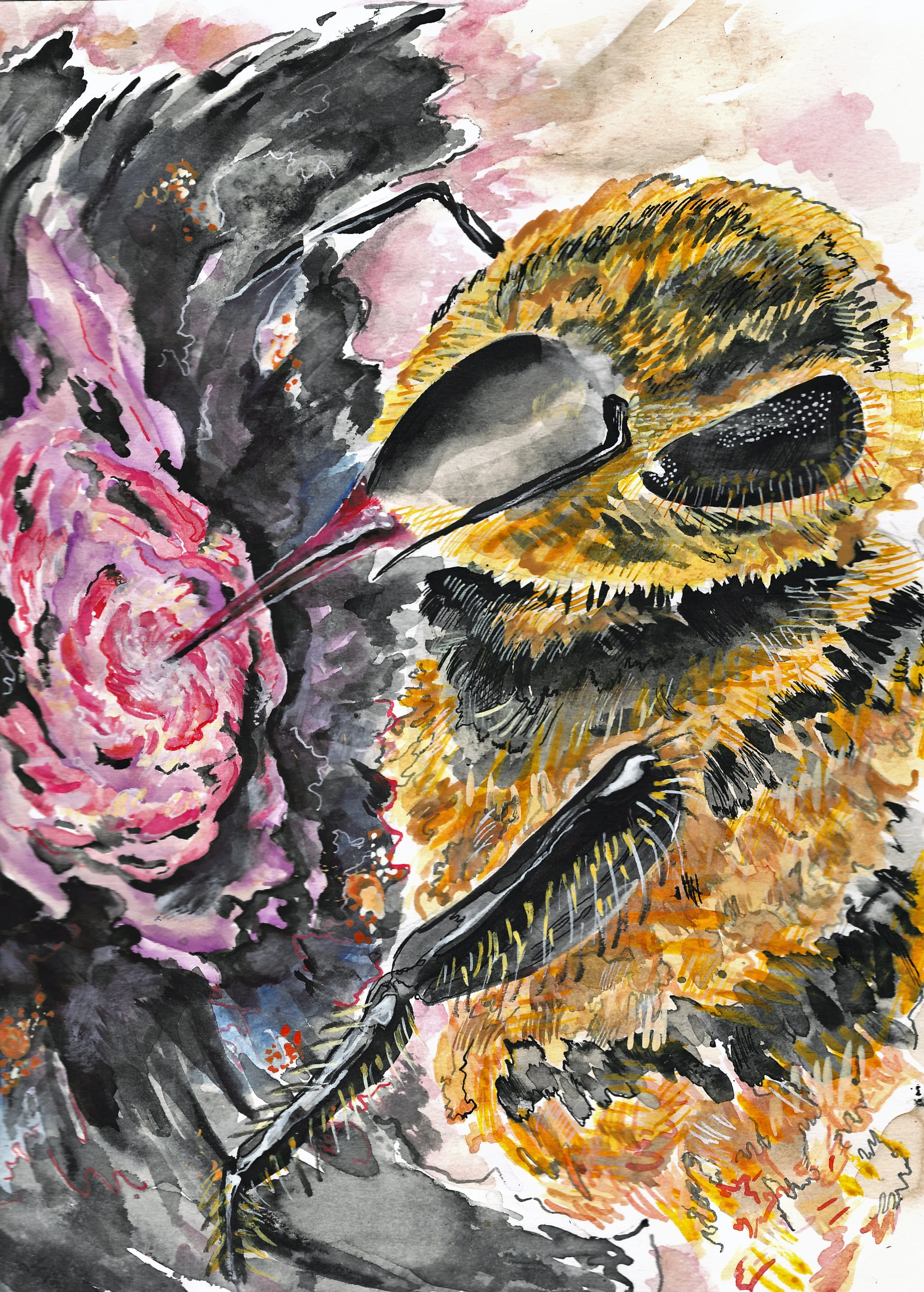 Space Bee 02.jpg