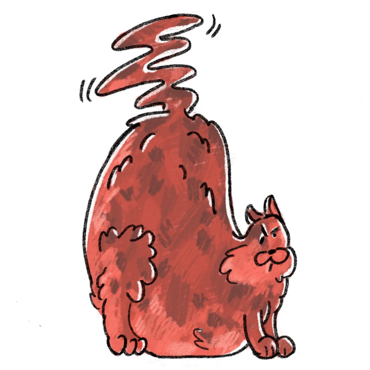 Fat Cats_05 JPEG.jpg
