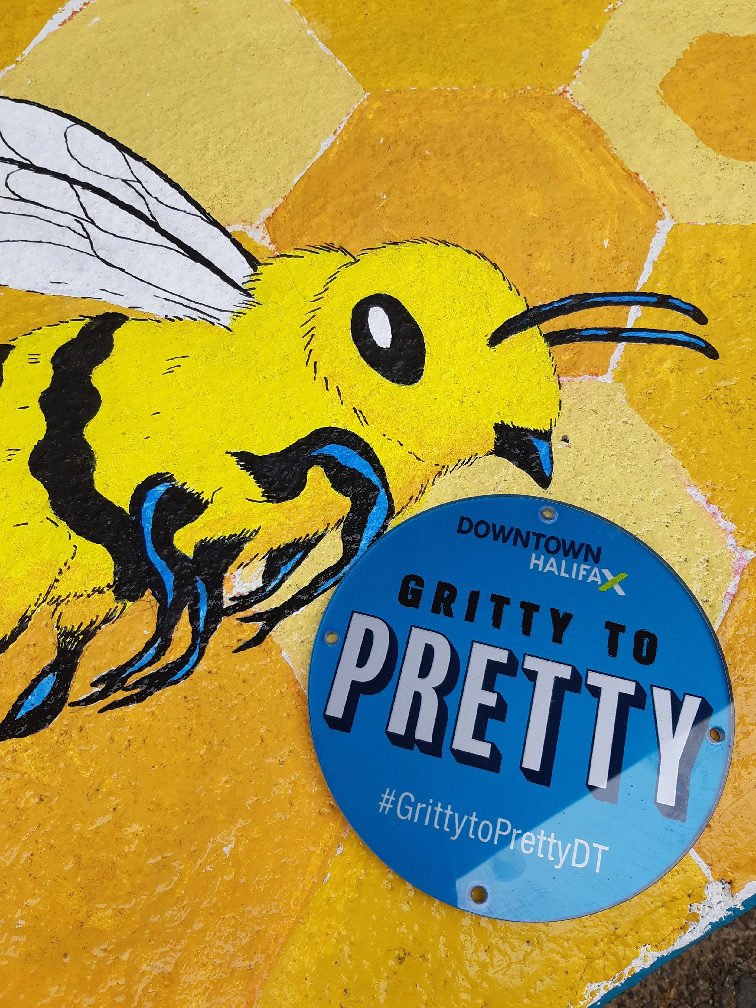 2020-08-11 13.00.37.jpg