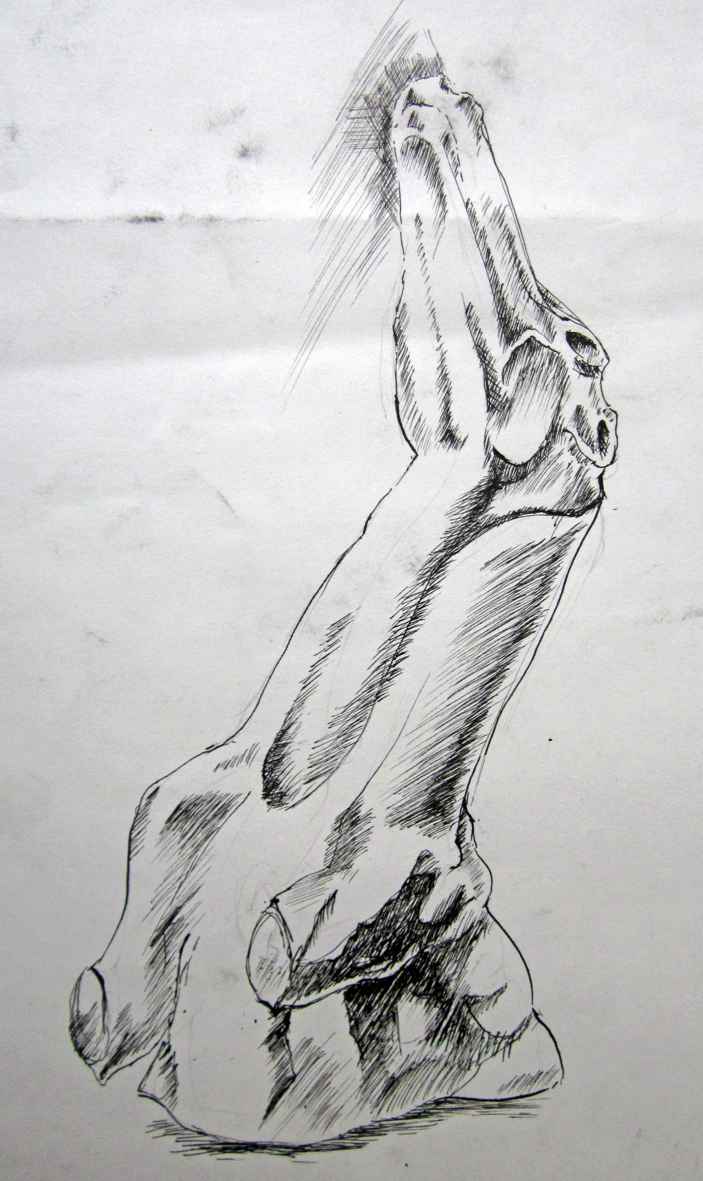 Greyhound Cast.jpg