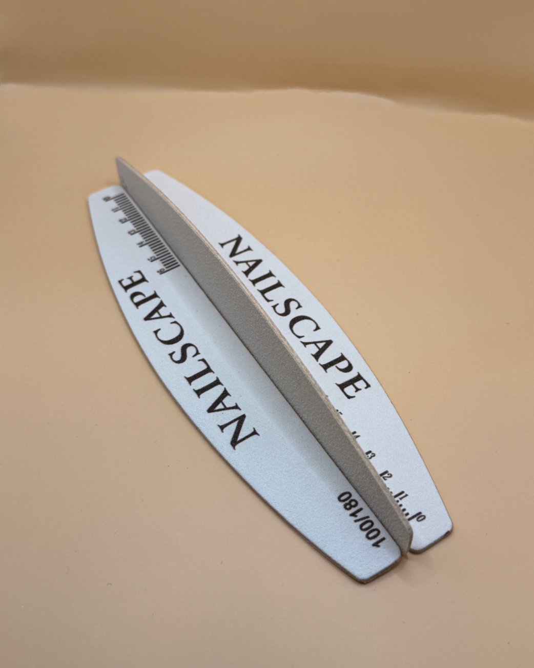 1.png (copie) (copie) (copie)