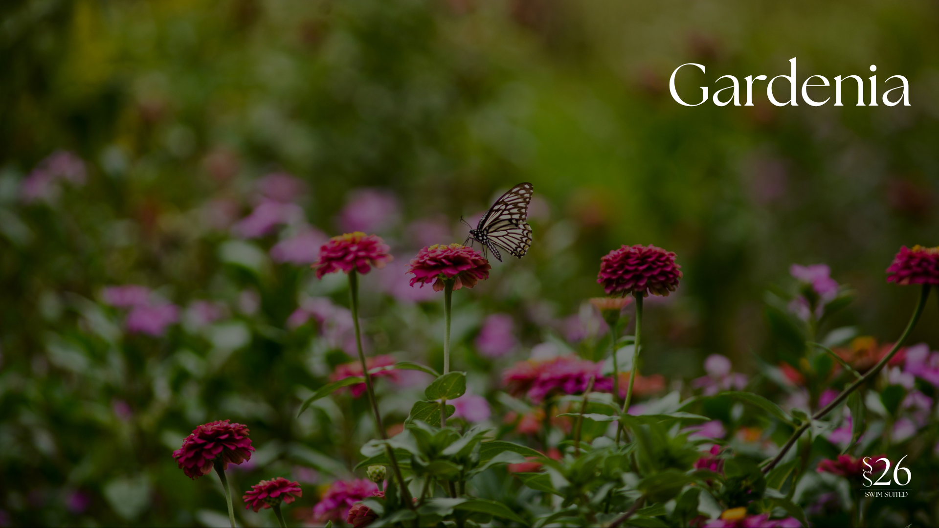 Find out more about our new Gardenia Collection