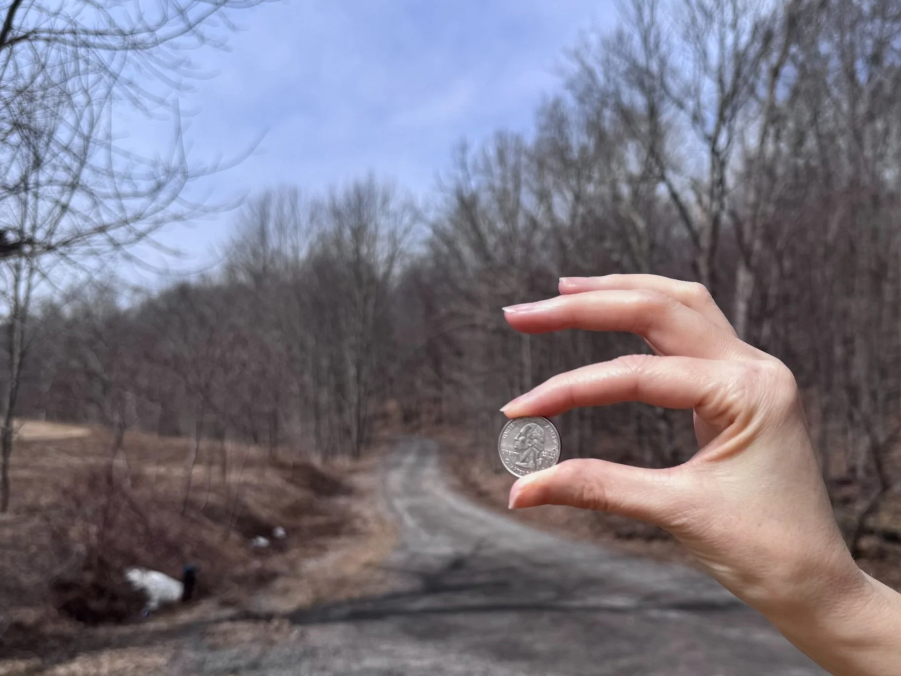 A person holding a quarter between their thumb and index finger, with a rural road and leafless trees in the background.