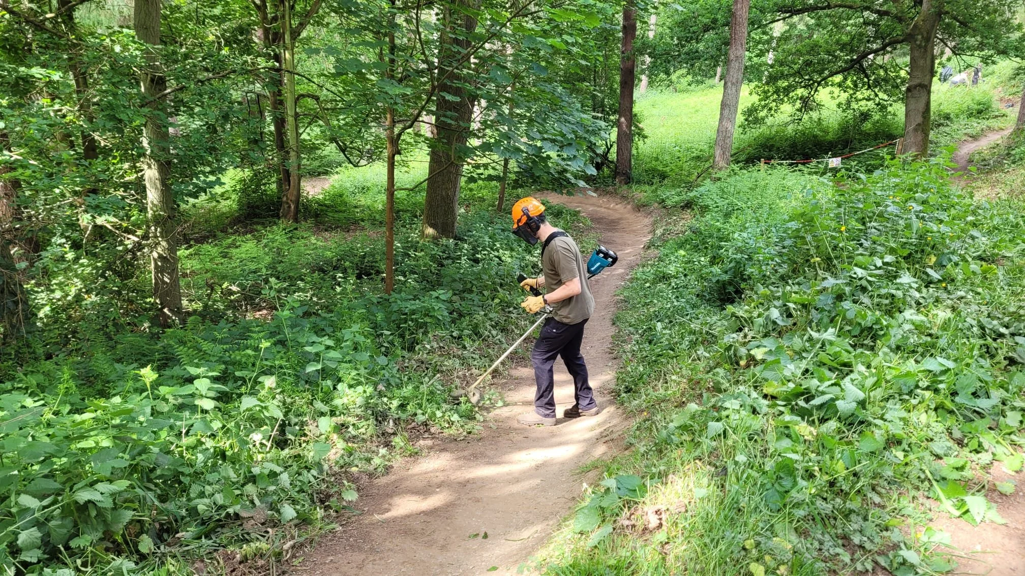 Badbury Clump Trail Maintenance Evening Session