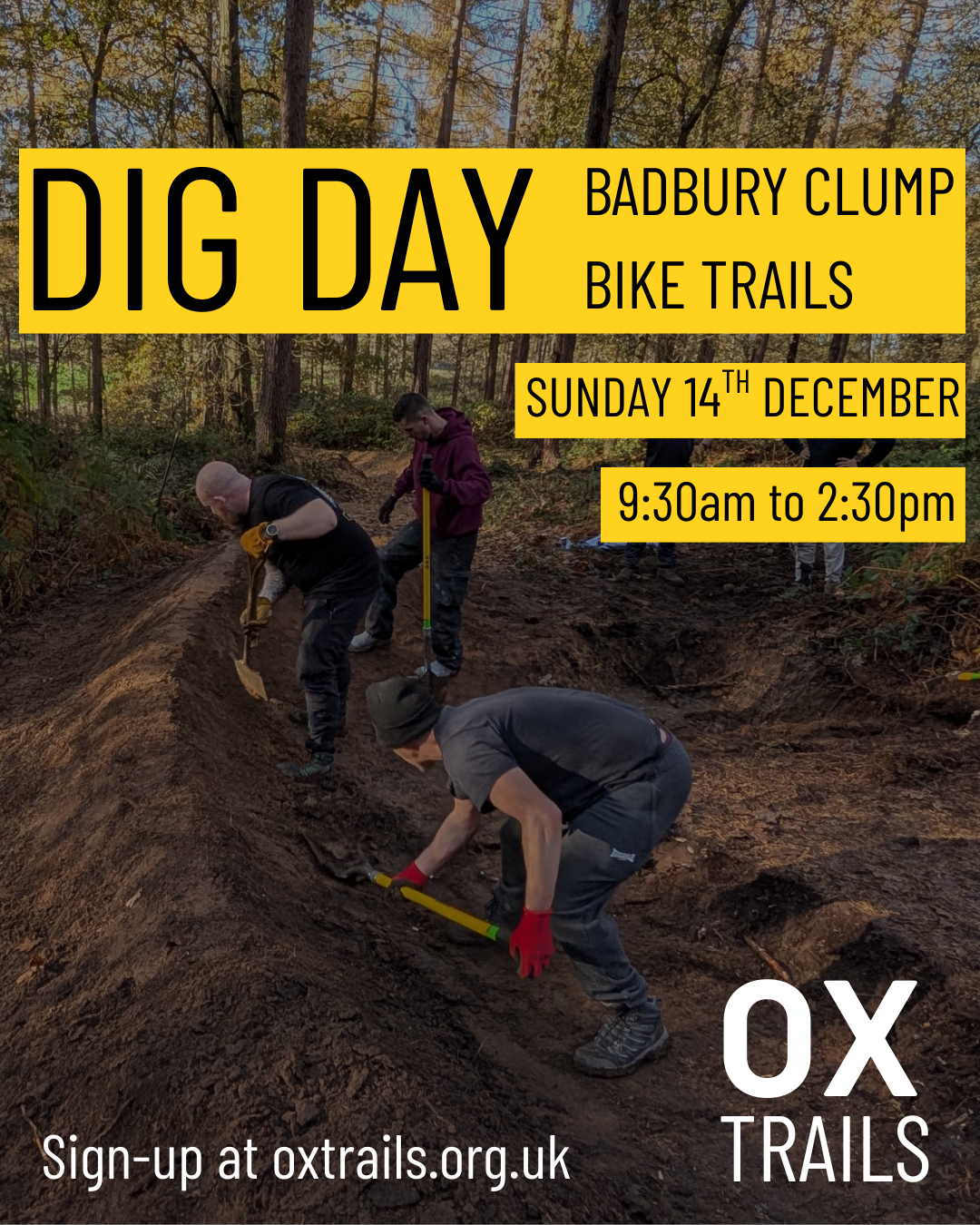 Badbury Clump Dig Day 