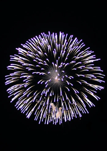 When can you shoot off fireworks in Michigan?