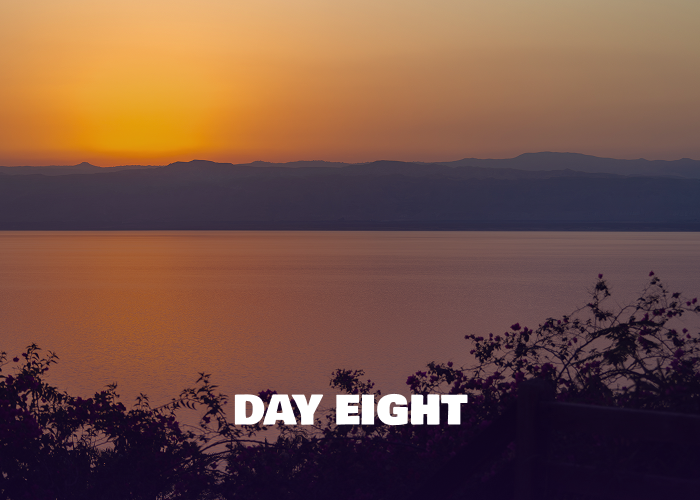 Day 8