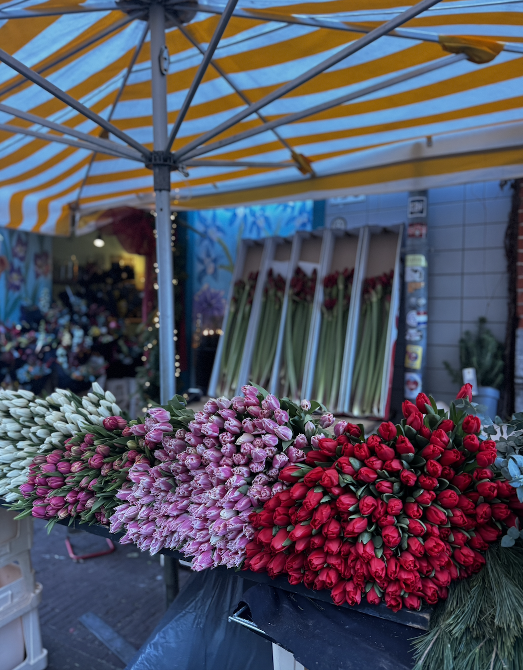 Screenshot 2026-04-13 at 23.22.49.png