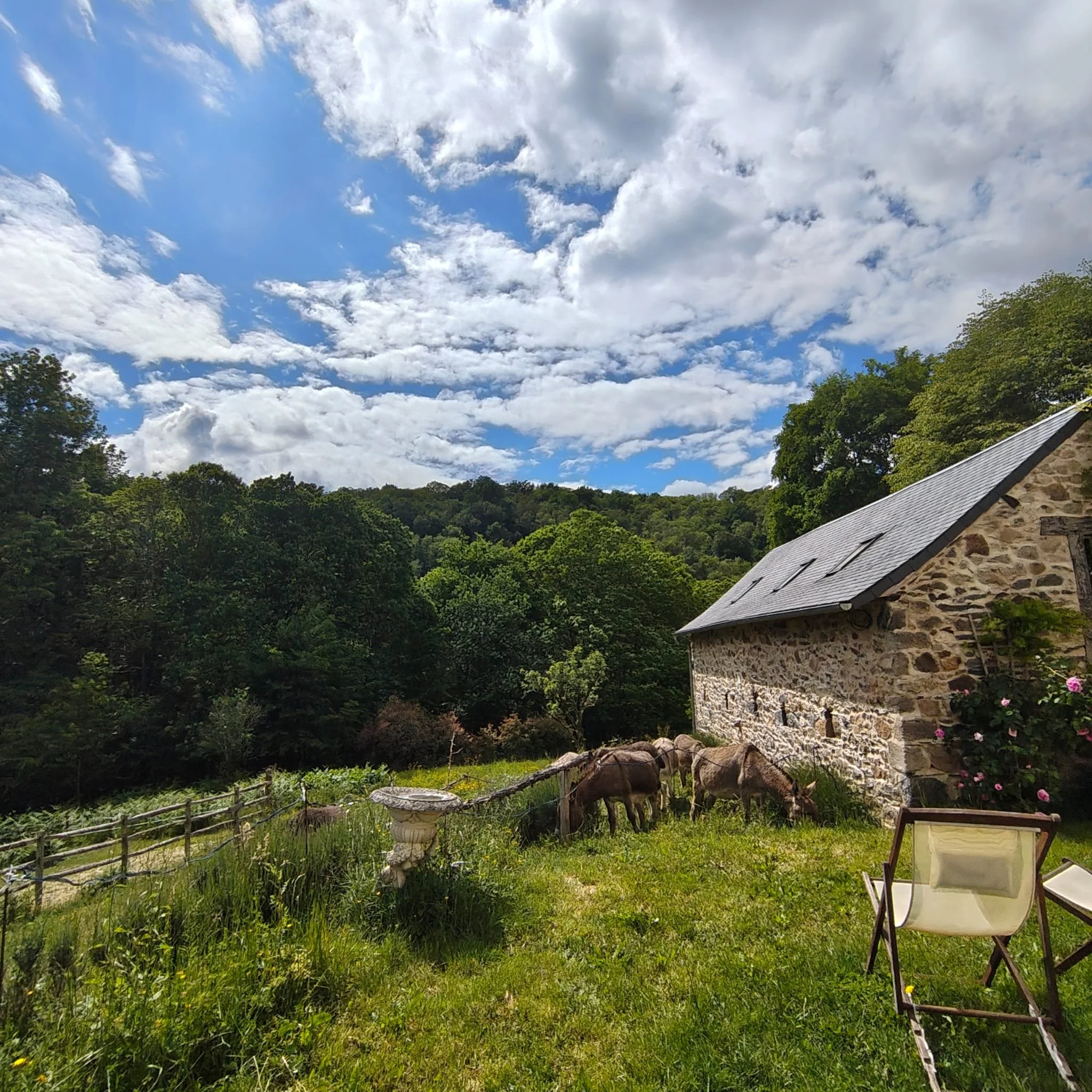 RURAL GENTLE WEEKEND RETREAT