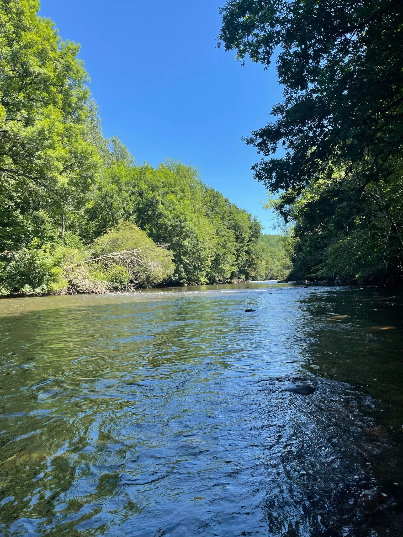 River Vezere Aug 2025.jpg
