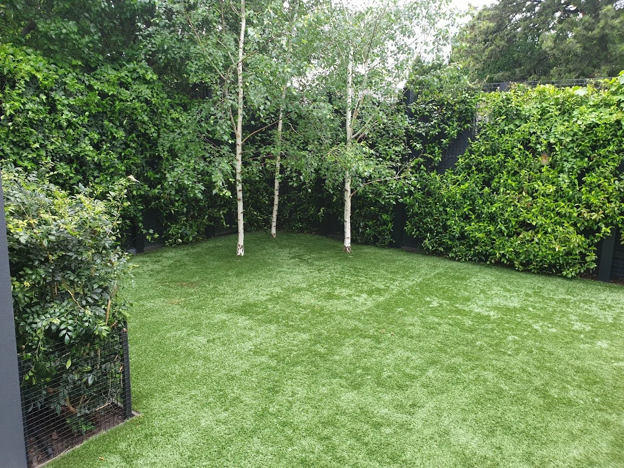 Small backyard with artificial grass and surrounded by thick green foliage and trees.