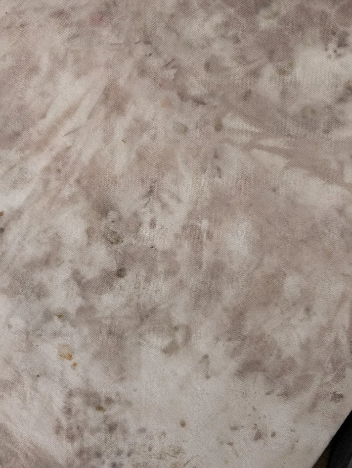 PXL_20260412_194415750.MP.jpg
