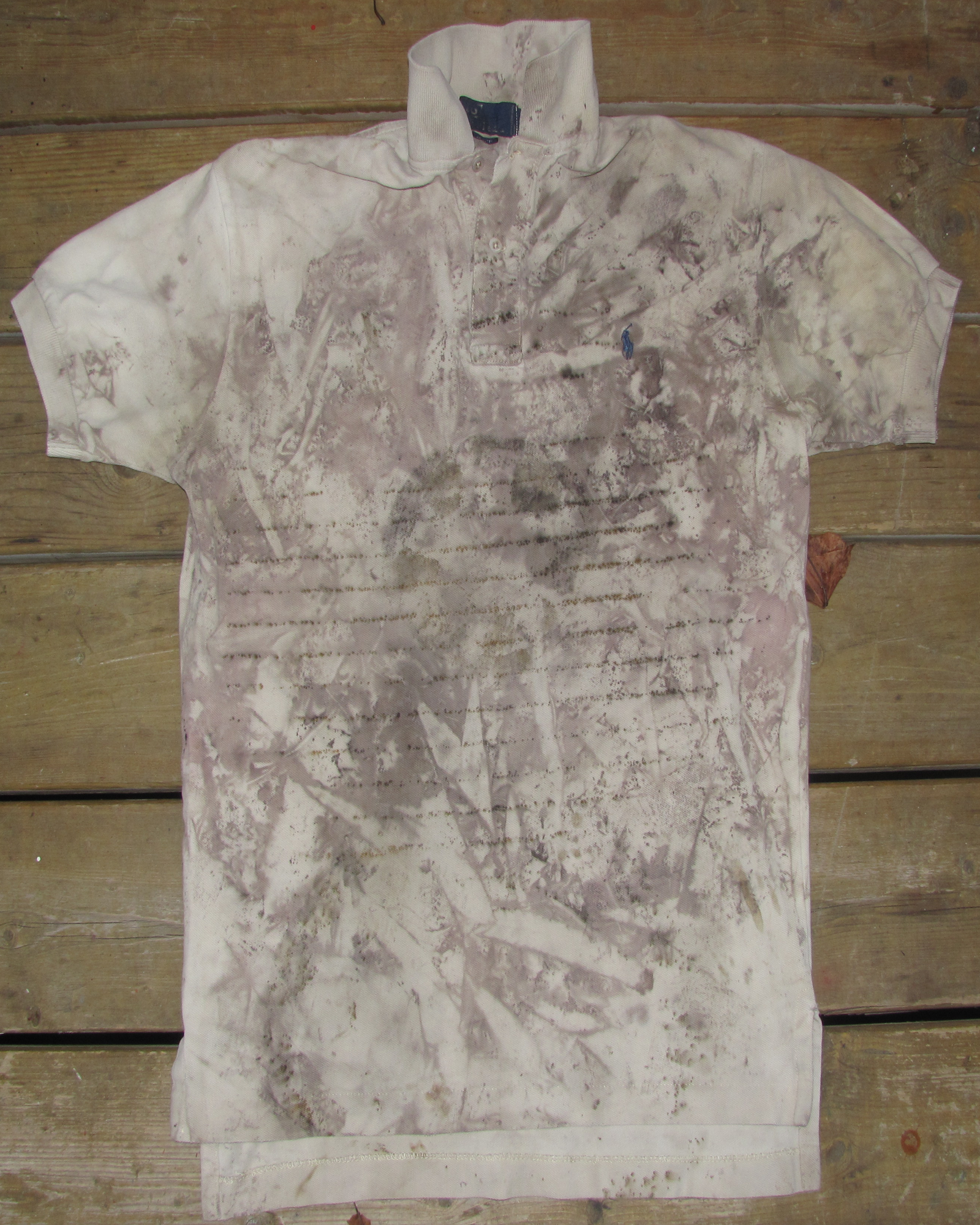 Ralph Lauren Rust Dyed & Leaf Imprint Polo