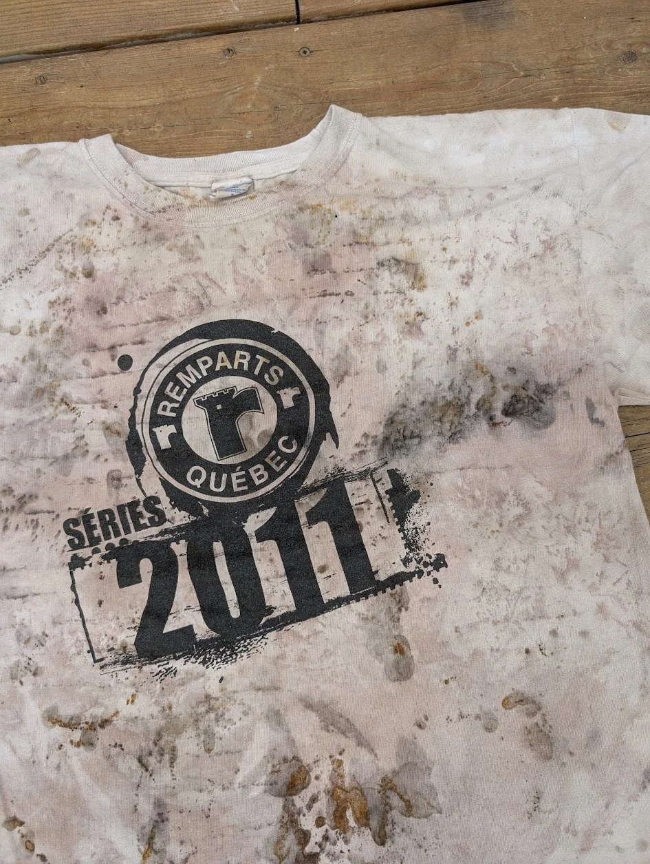 PXL_20260412_195510798.MP.jpg