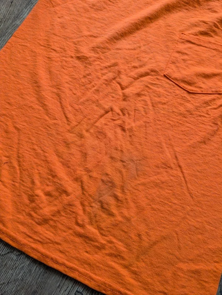 PXL_20260706_171409666.MP.jpg
