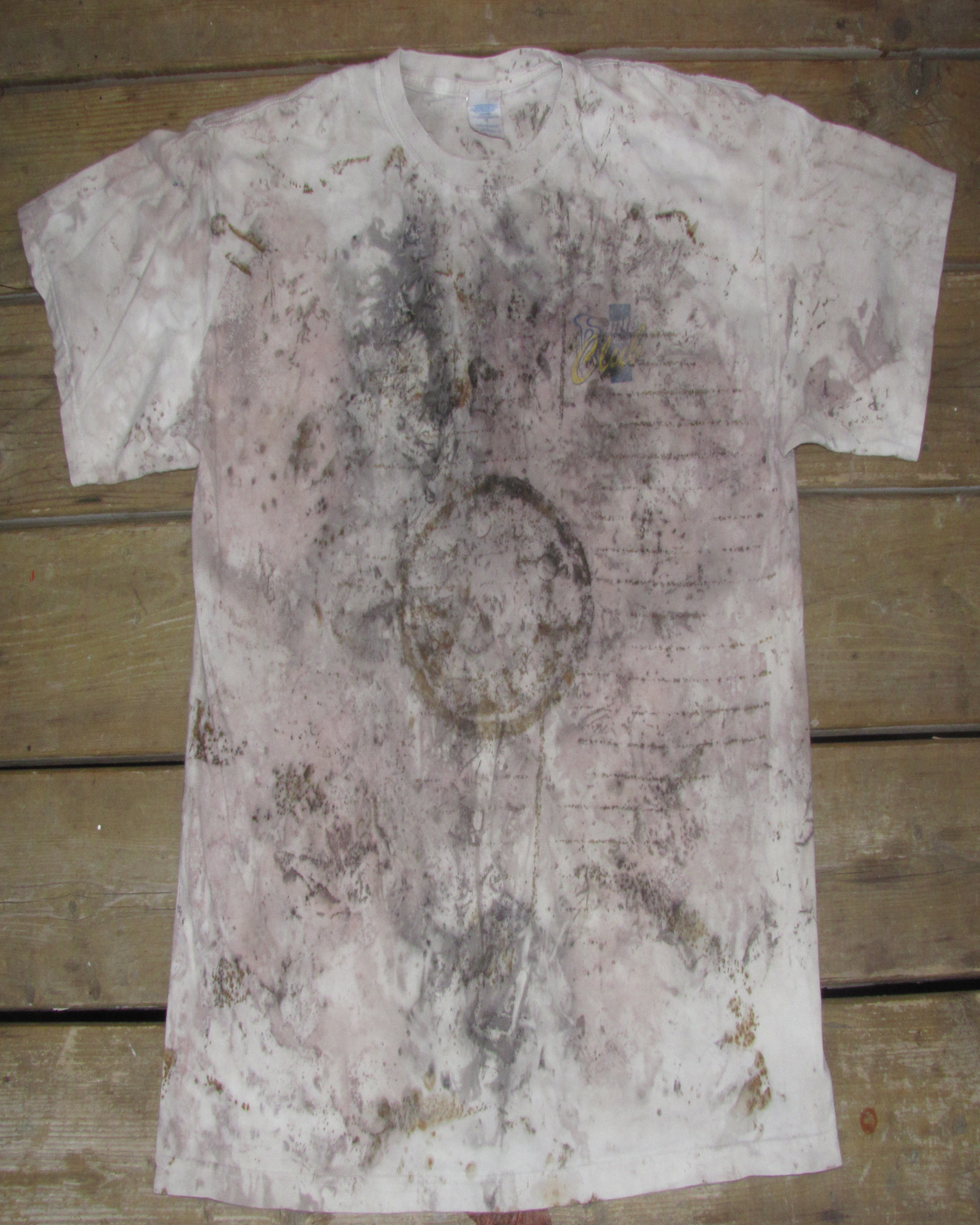 Leaf Imprinted & Rust Dyed Santé 2000 T-Shirt