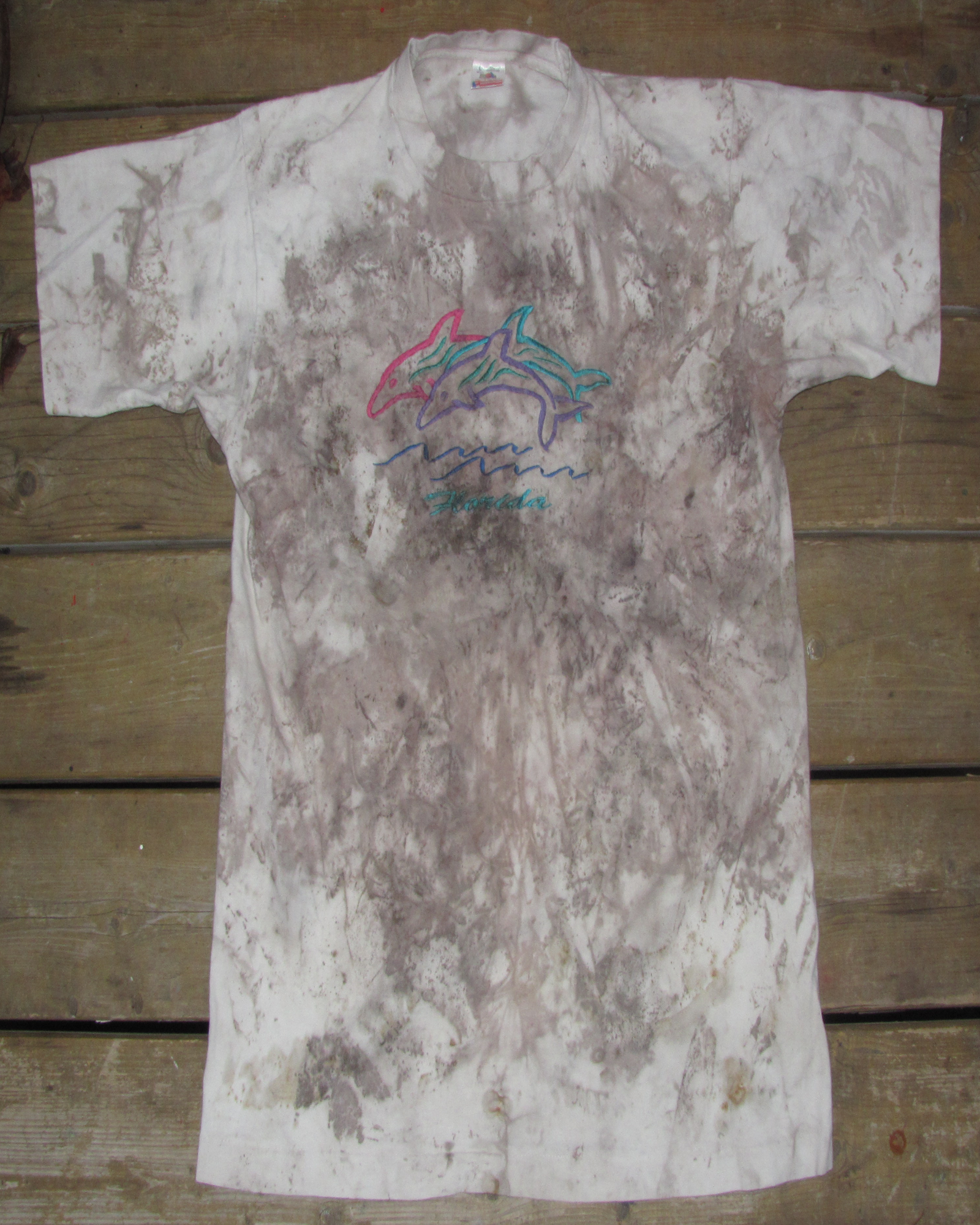 Leaf Imprinted Embroidered Florida T-Shirt