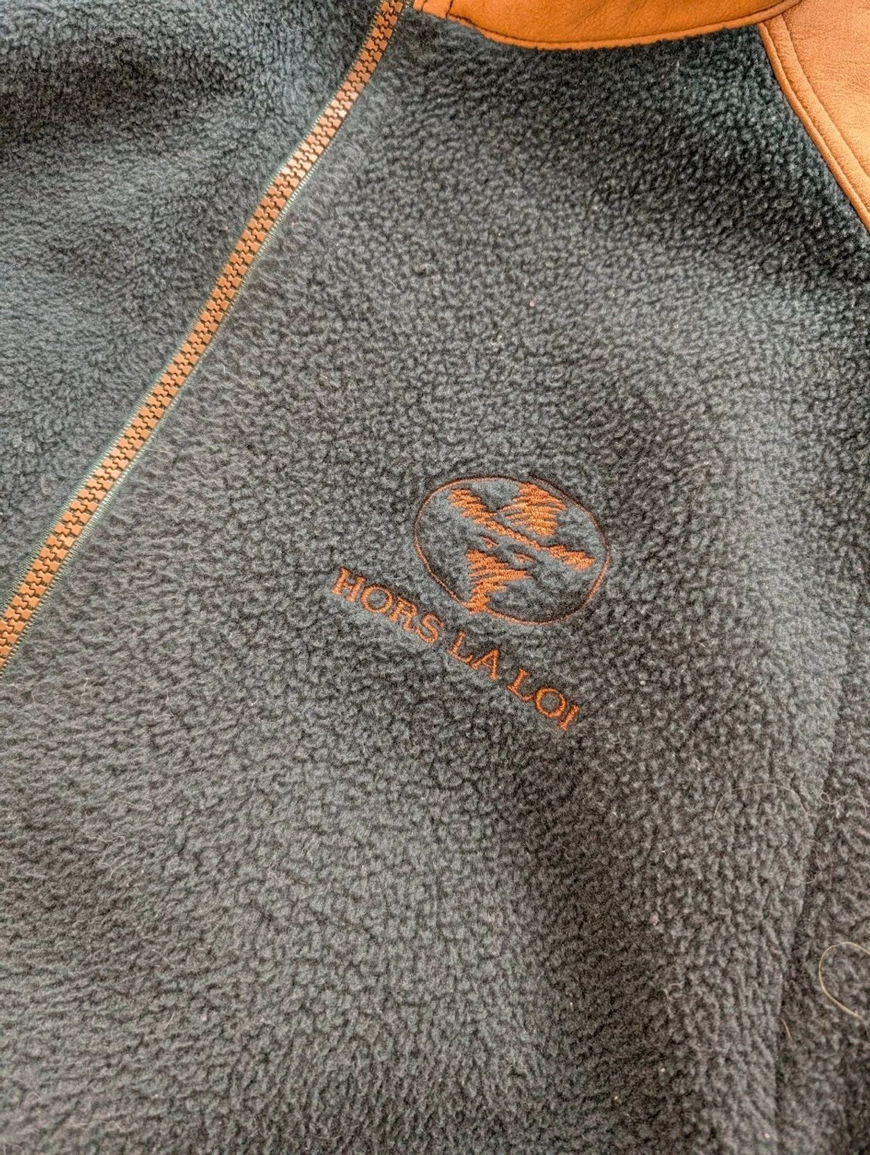 PXL_20251101_185310959.jpg (Copy)