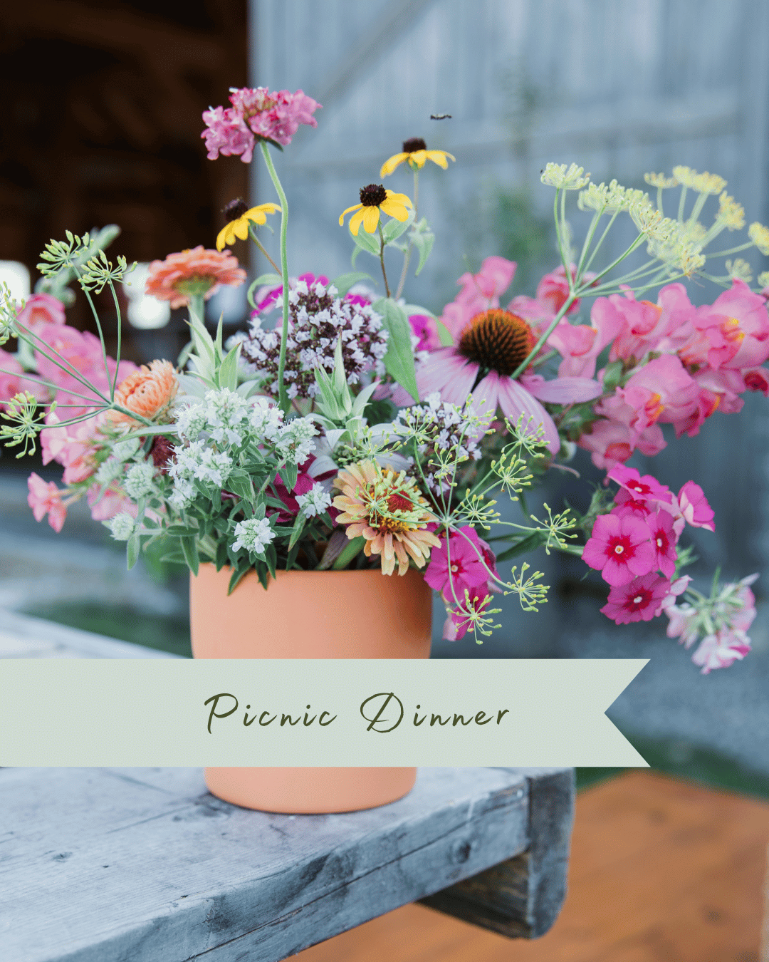 Picnic Dinner - Aug. 20