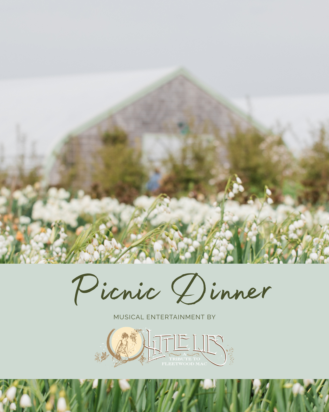 Picnic Dinner - Aug. 20