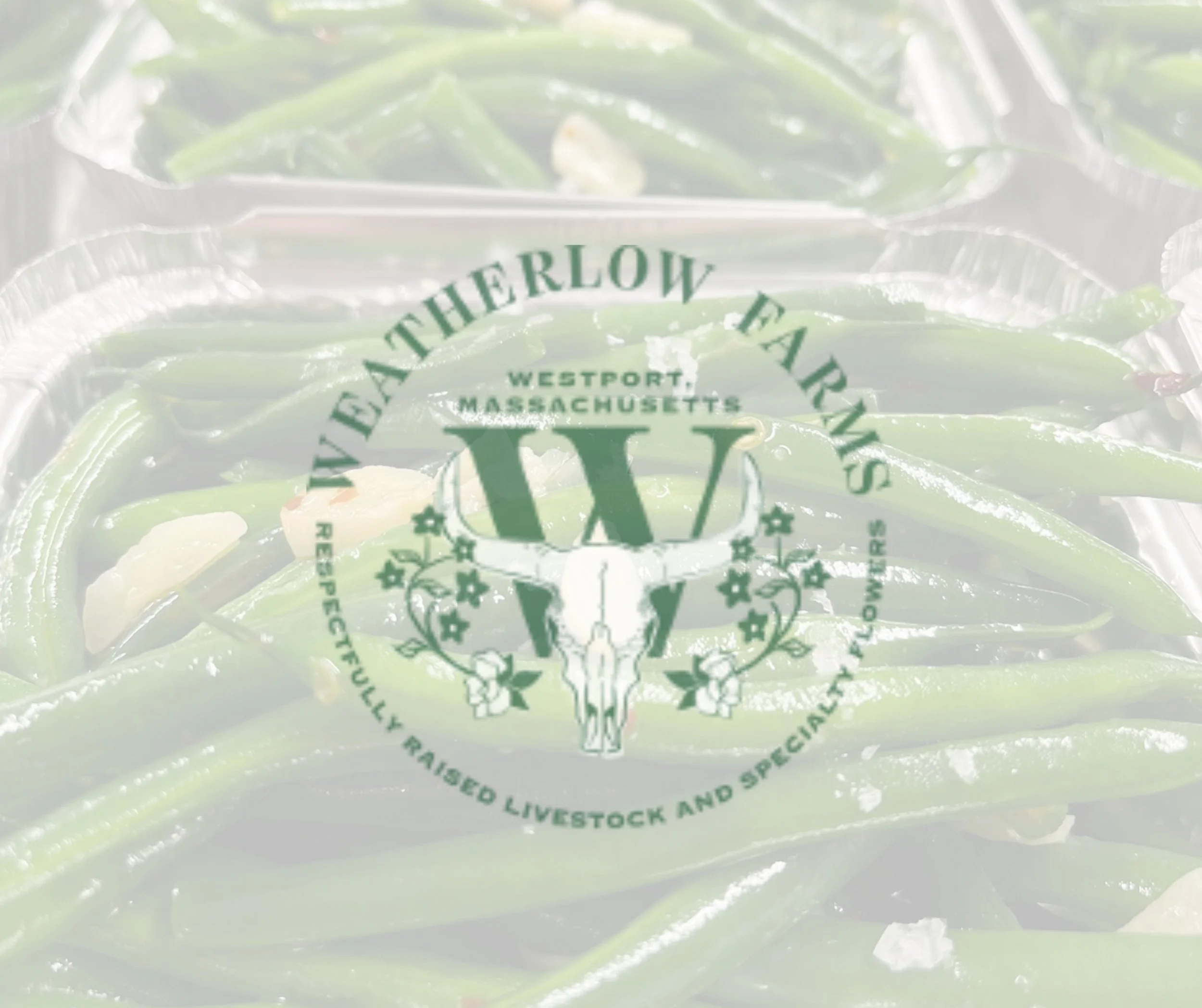 Green Beans Item.png
