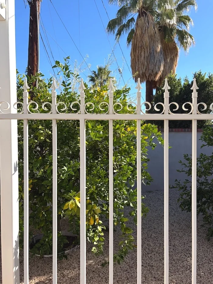 simple white fence with ornamental scrolls and spear-tops in a yard with a citrus tree and blue sky