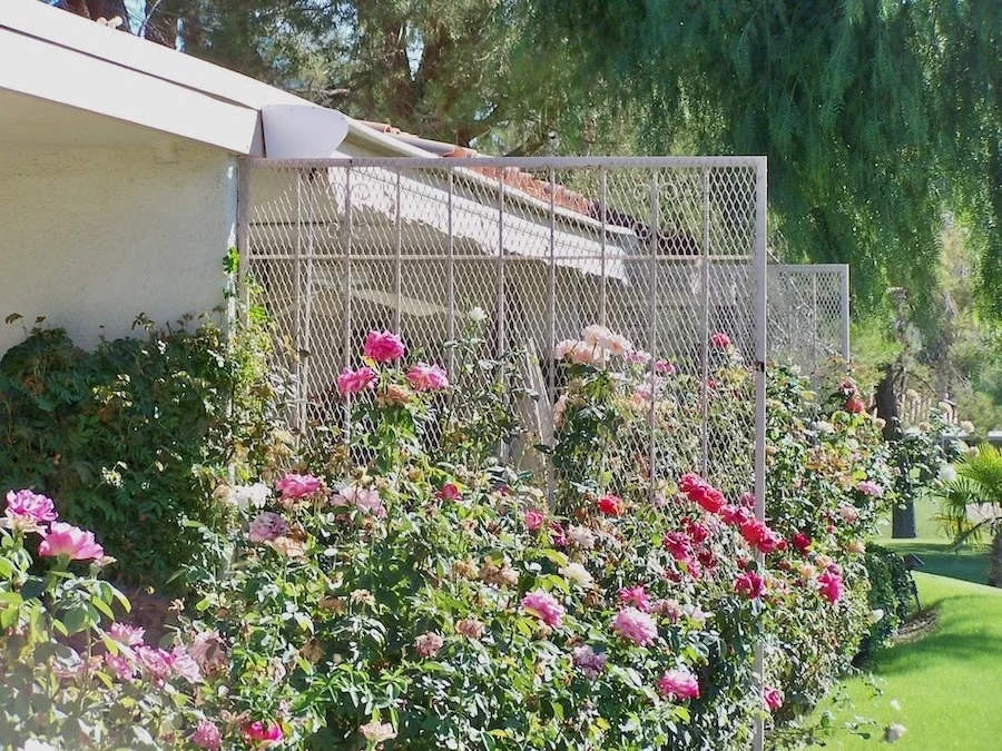white golf ball screens with scrolls and mesh backing in the backyard of a home surrounded by roses