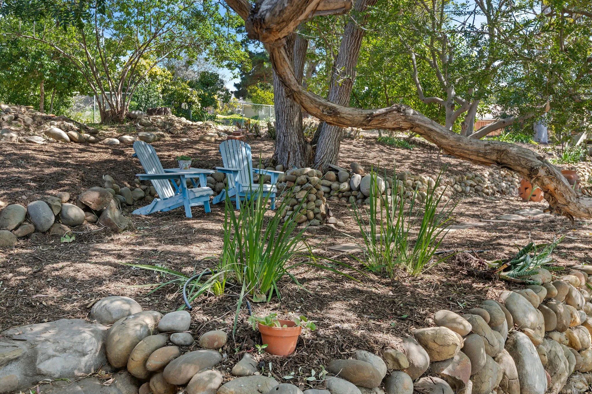 11 - Rear Garden Area.jpg