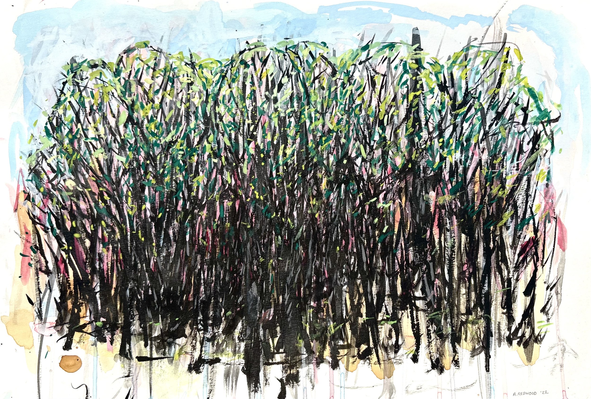 TREELINE II