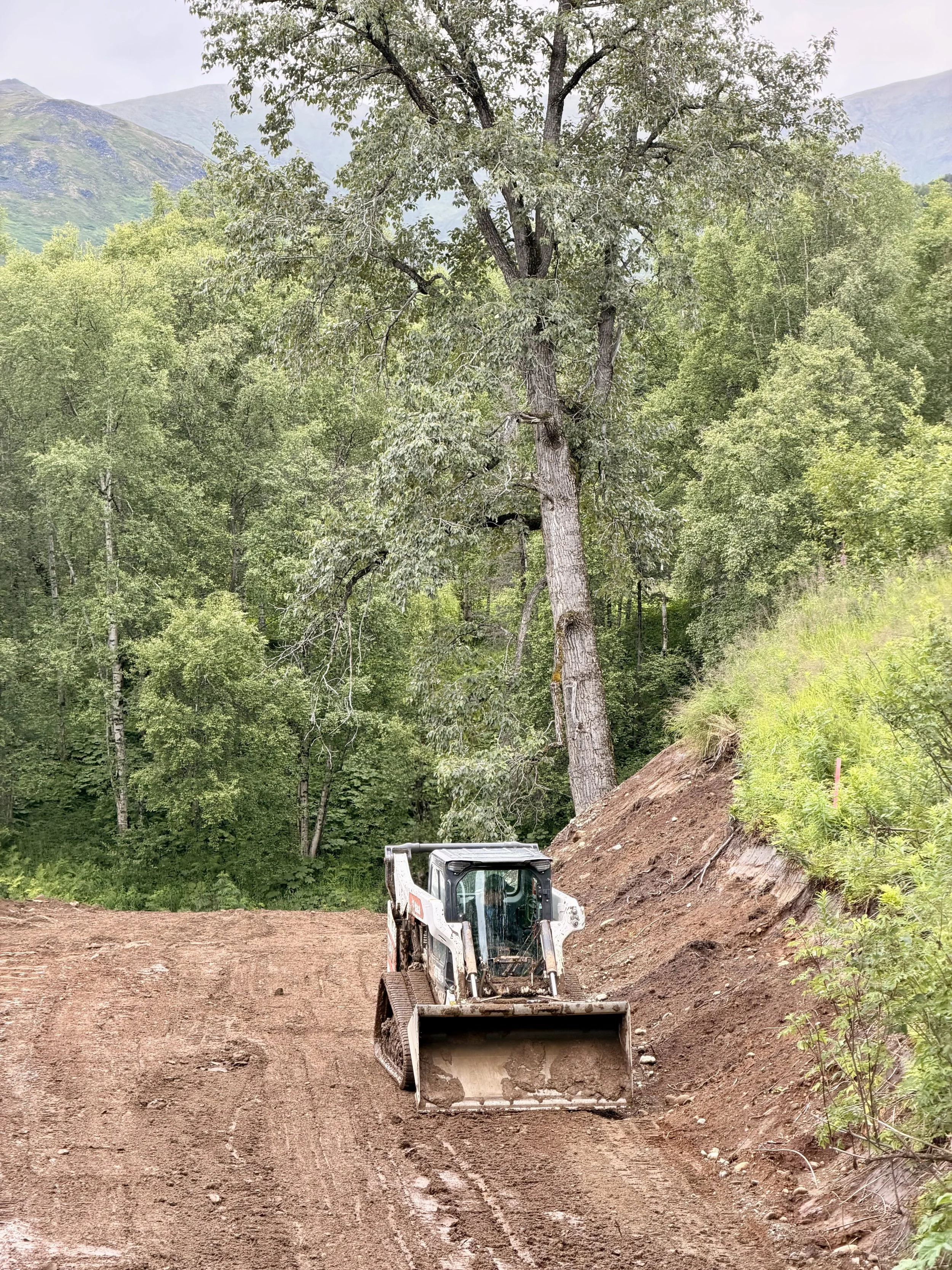 August 2026 Newsletter