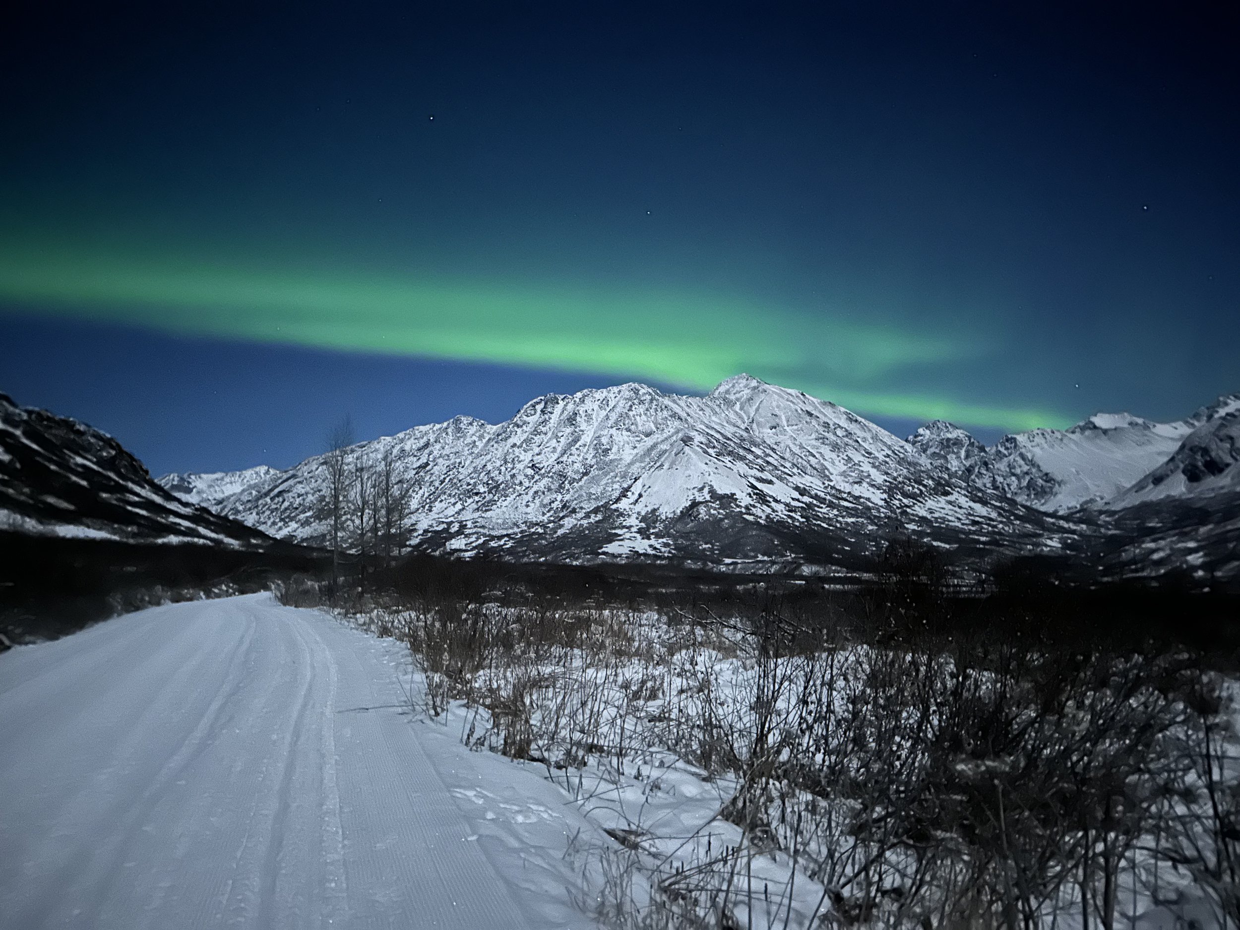 January 2025 Newsletter