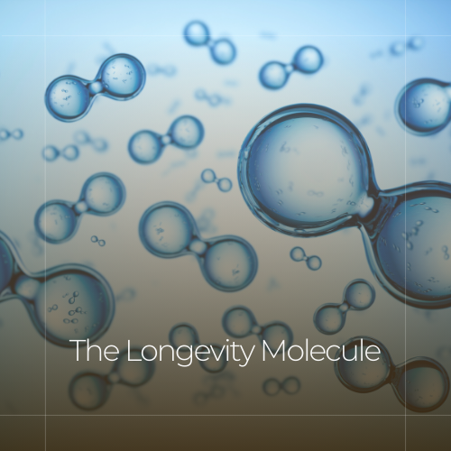 The Longevity Molecule