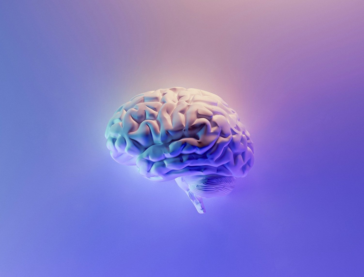 Neuroscience Behind the Enneagram