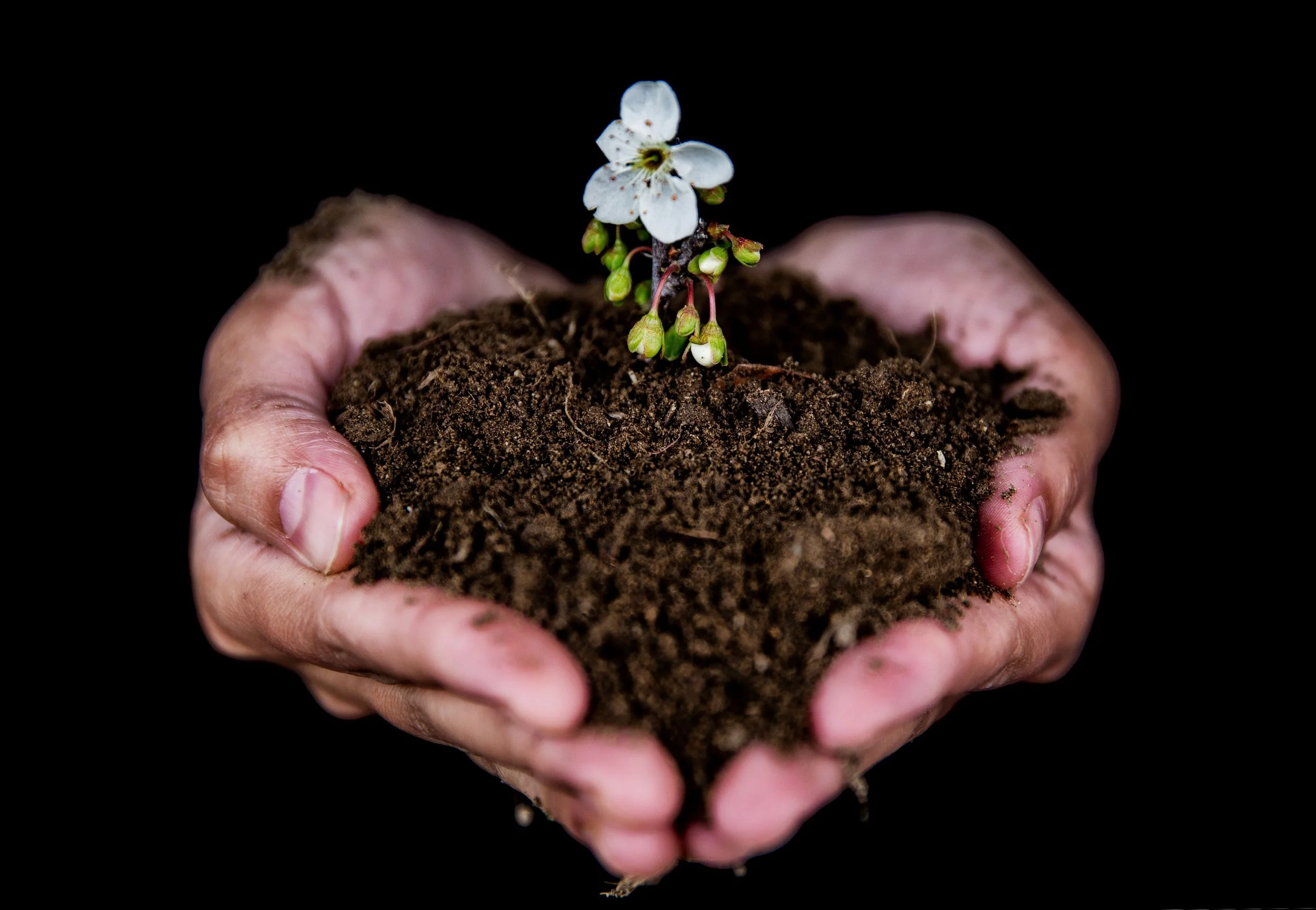 Intentional Living Circle - From Awareness to Transformation