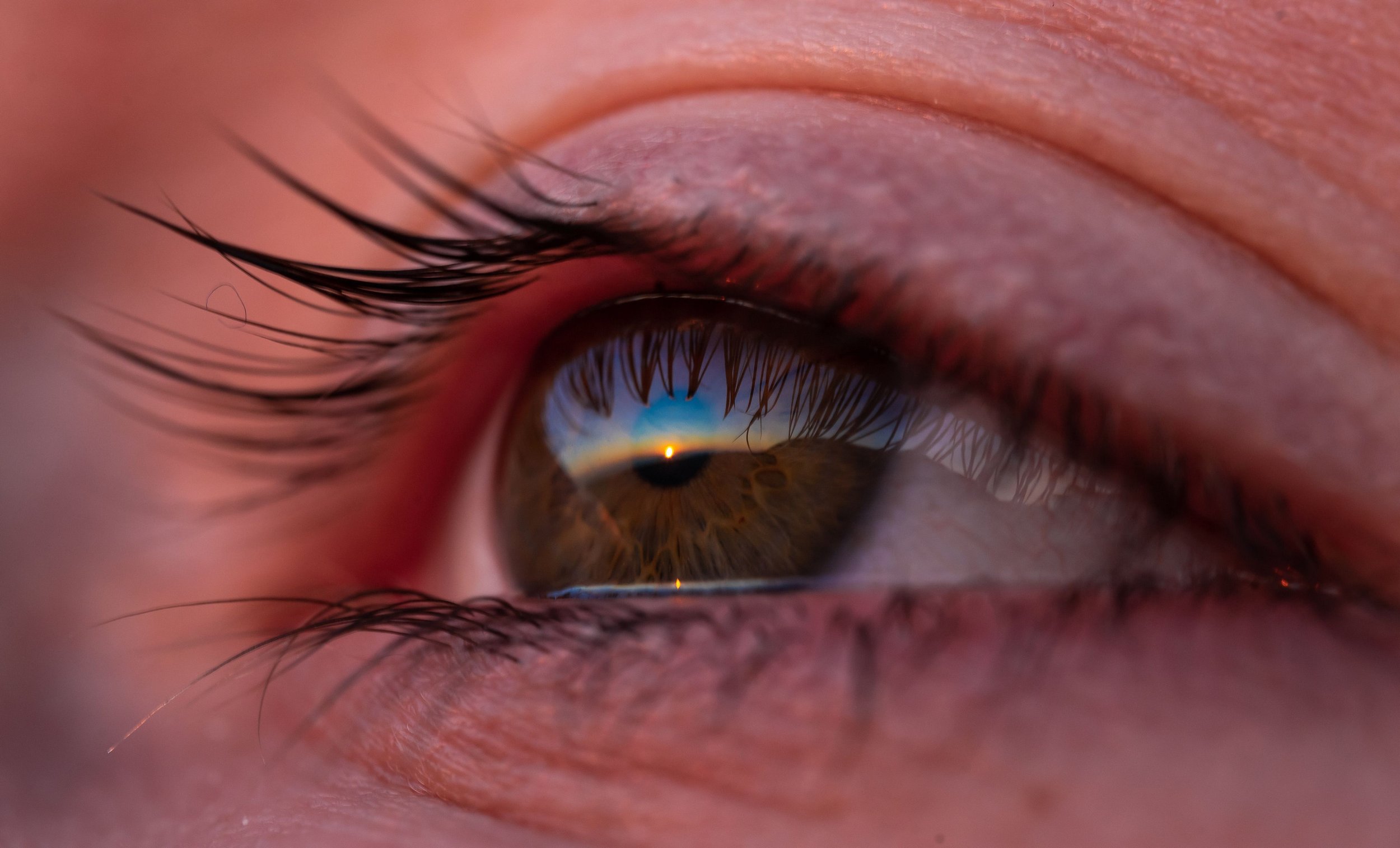 A Vision for the Future - Intentional Living Circle