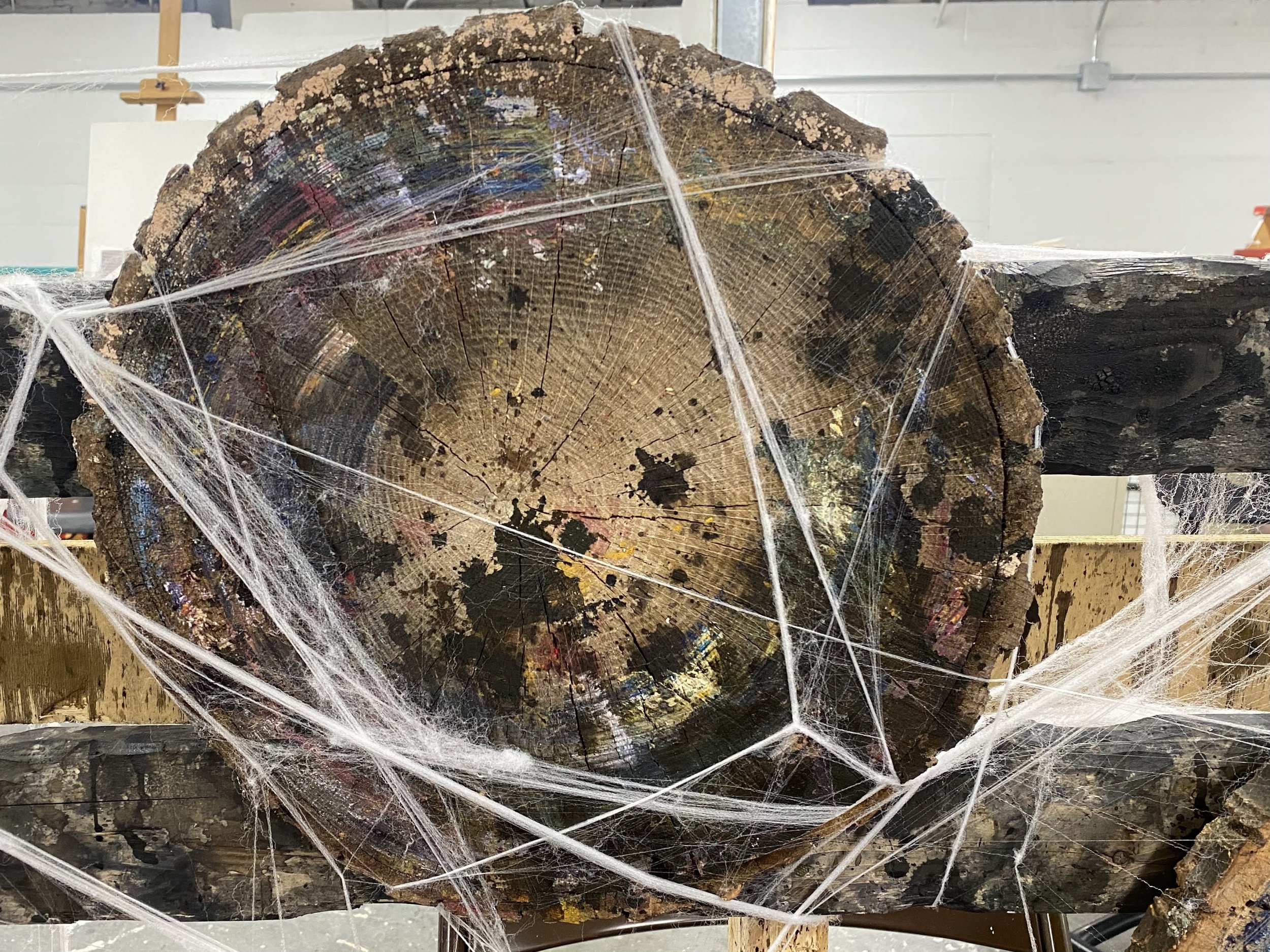 wormwood mold heic.jpg
