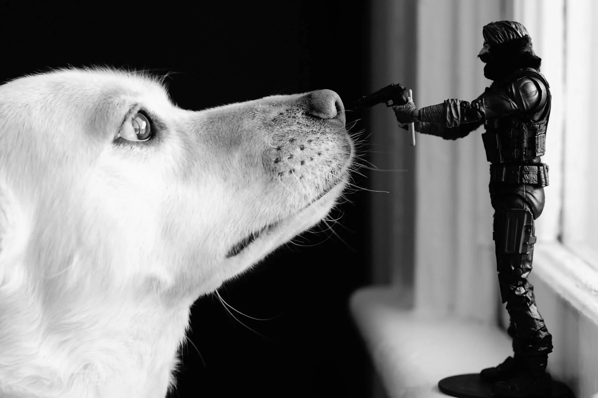 Light Touching Darkness: Minnesota, January 2026