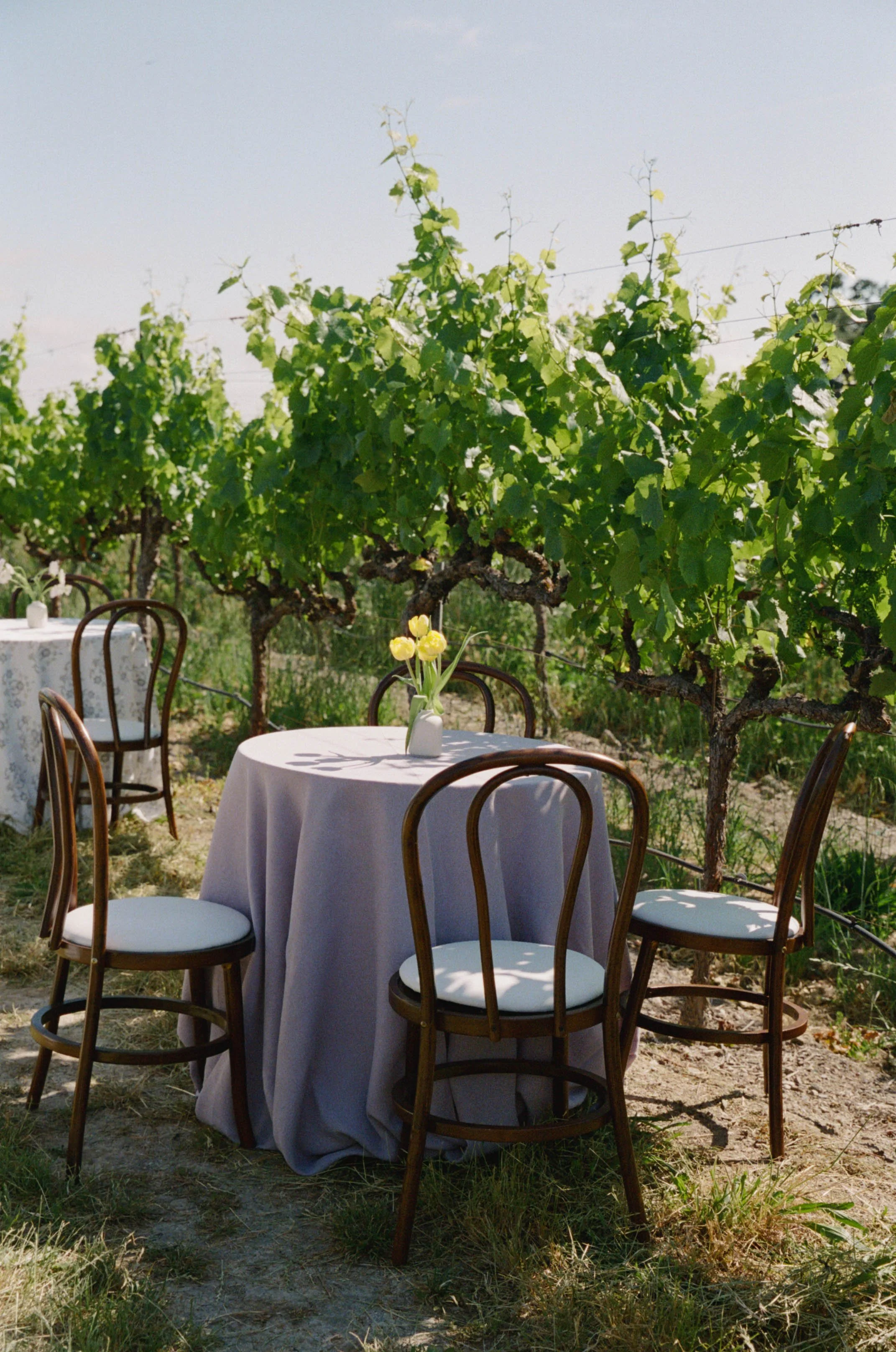 JULIEJORDAN_BROOKEANDJOSH_GRAMMVINEYARD_PREVIEW-57.jpg
