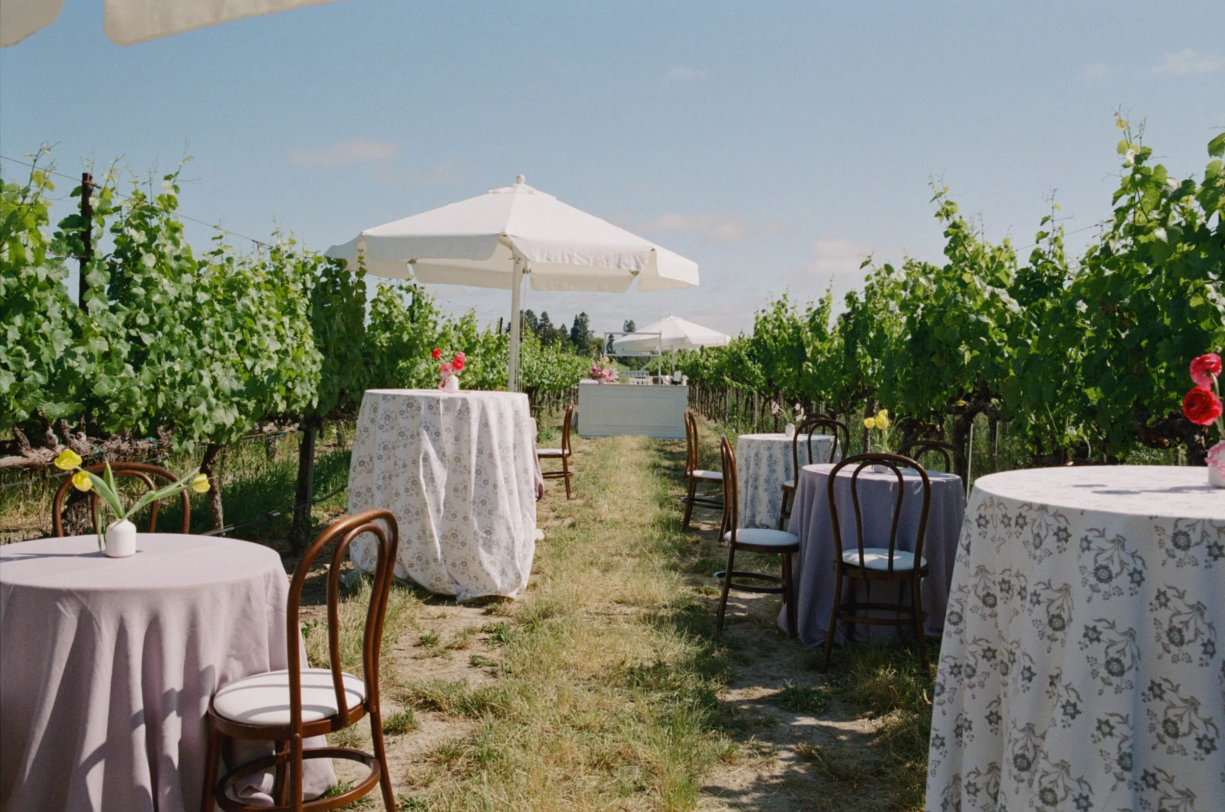 JULIEJORDAN_BROOKEANDJOSH_GRAMMVINEYARD_PREVIEW-56.jpg