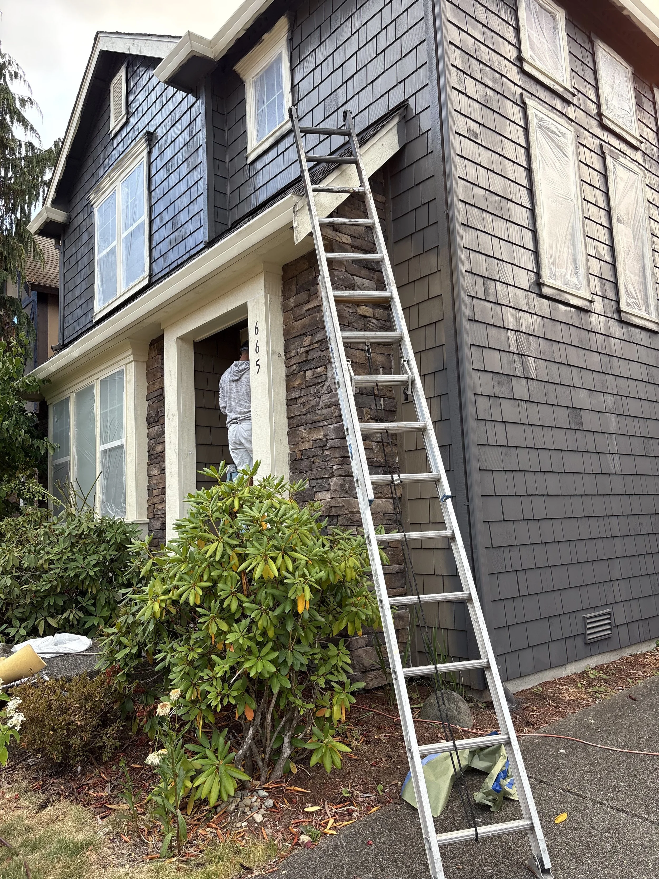 Exterior Paint