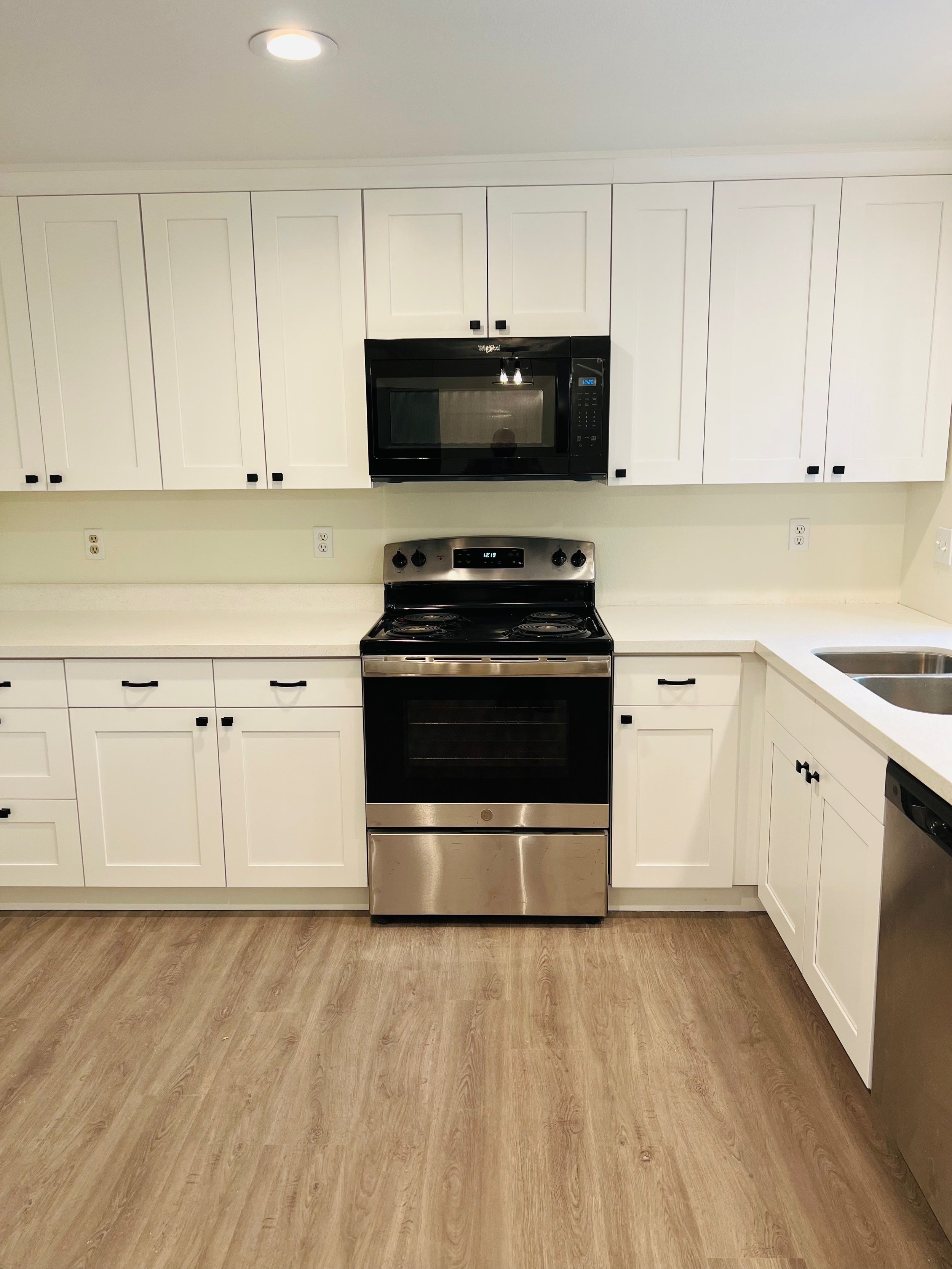 Kitchen Refresh - Cabinets, Counter, Appliance Install