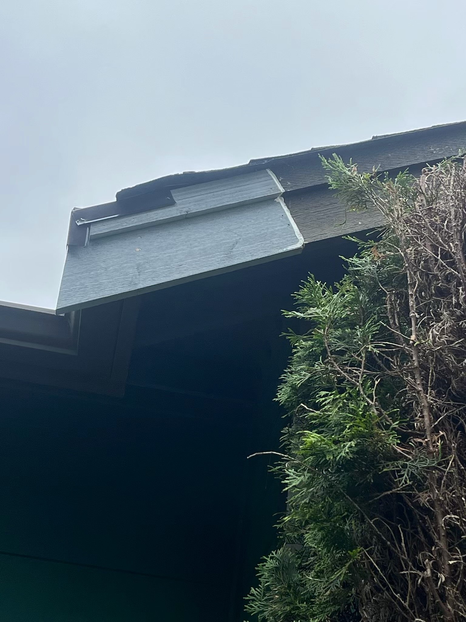 Fascia Board Repair