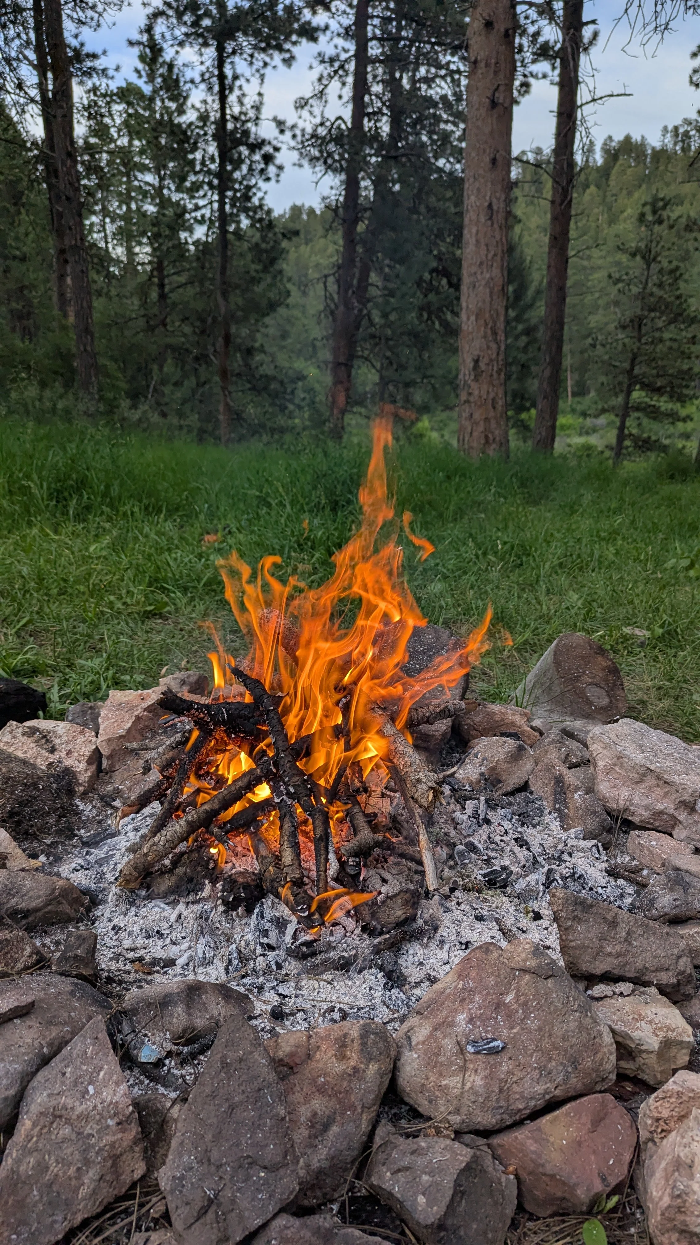 “When the Burnout Hits Hard: On Rest, Boundaries, and Taking a Break”