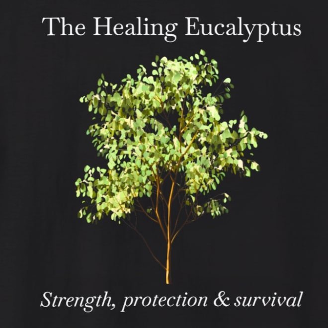 Eucalyptus blk zoom.jpg