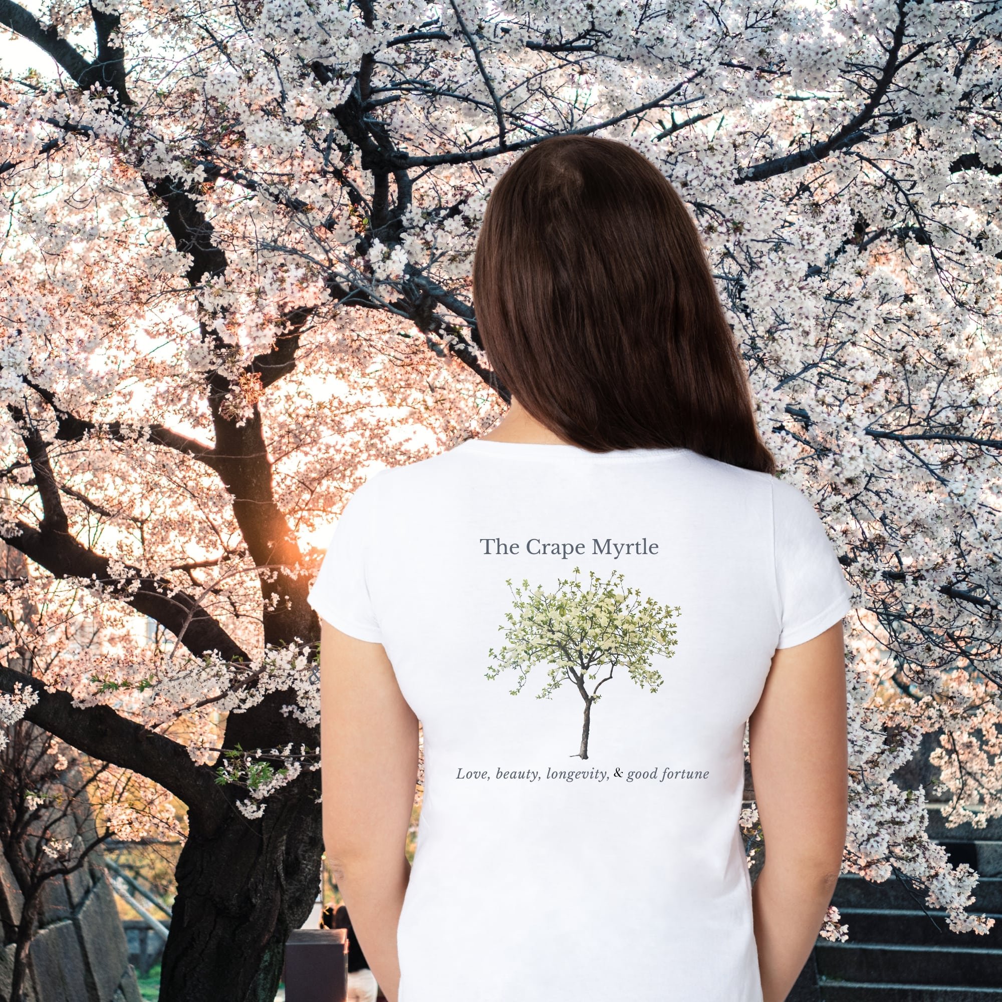 V-Neck crape myrtle wht -tree.jpg