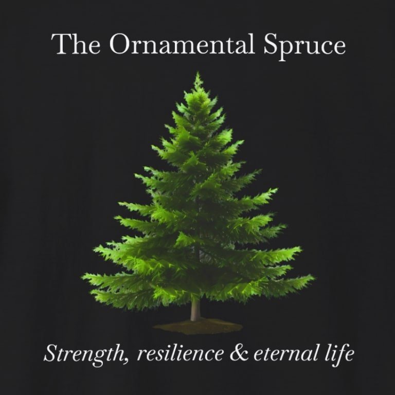 Spruce blk zoom.jpg