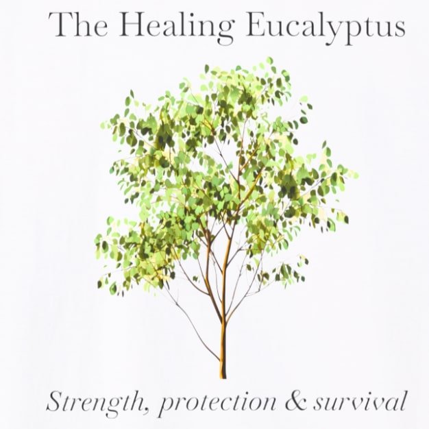 Eucalyptus wht zoom.jpg